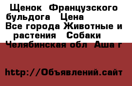 Щенок  Французского бульдога › Цена ­ 35 000 - Все города Животные и растения » Собаки   . Челябинская обл.,Аша г.